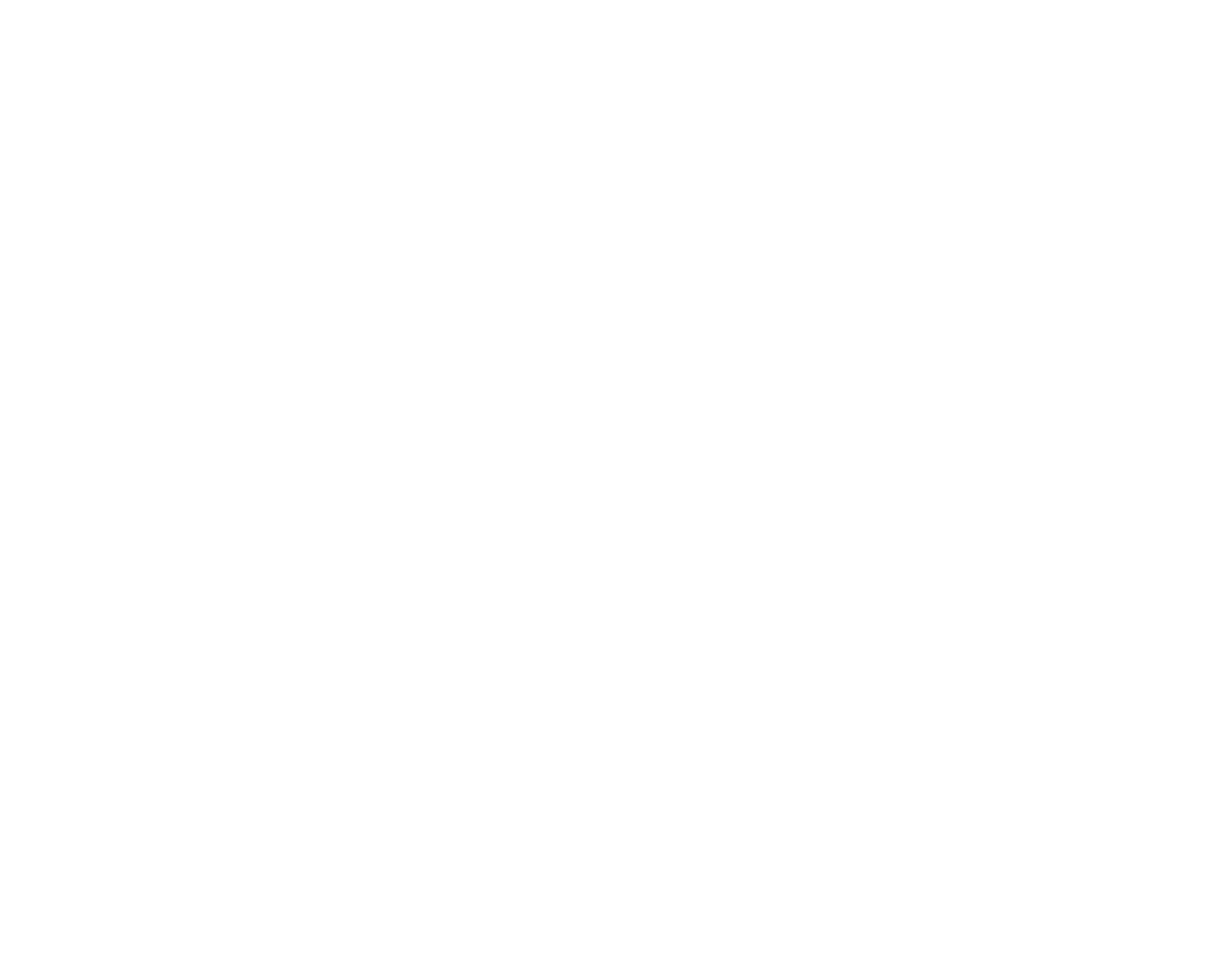 Logo NetMiio